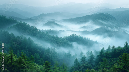 Misty summer mountain hills landscape. Filtered image:cross processed vintage effect. © Matthew