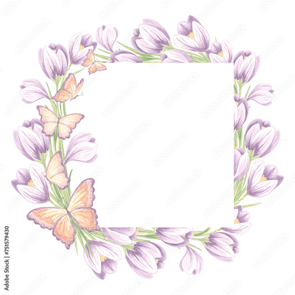 Square frame from crocus flowers with butterflies. Isolated hand drawn watercolor illustration. Floral spring wreath of saffron. Template with copy space for postcard of Mothers day, 8 March, Easter.