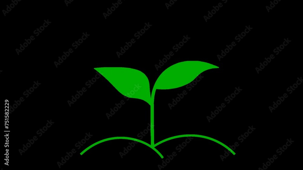 Animation of an ascending, growing green sprout, isolated on a transparent background with an alpha channel. Animation of an ascending, growing green sprout, isolated on a transparent background with an alpha channel.