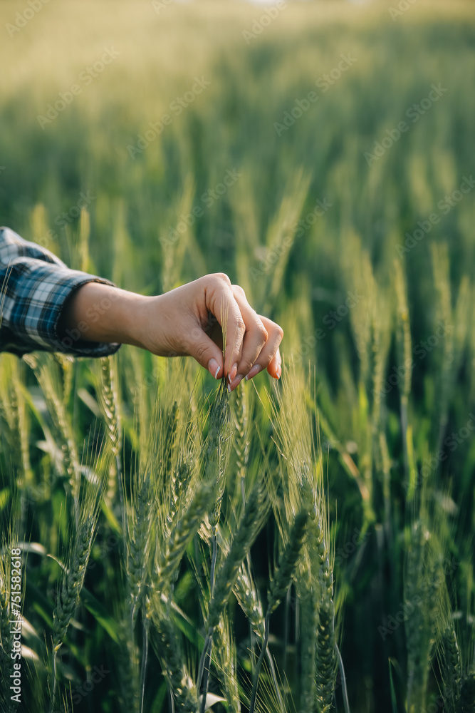 Smart farm. Farmer with tablet in the field. Agriculture, gardening or ecology concept. Harvesting. Agro business. Smart farm. Farmer with tablet in the field. Agriculture, gardening or ecology concept. Harvesting. Agro business.