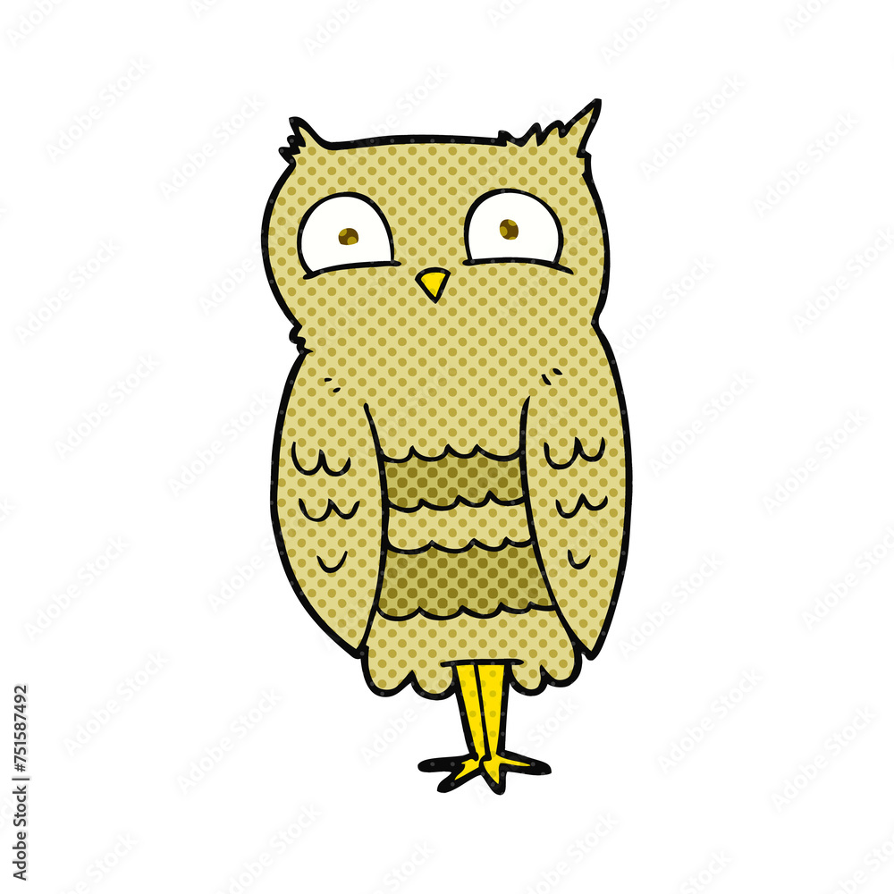 cartoon owl cartoon owl