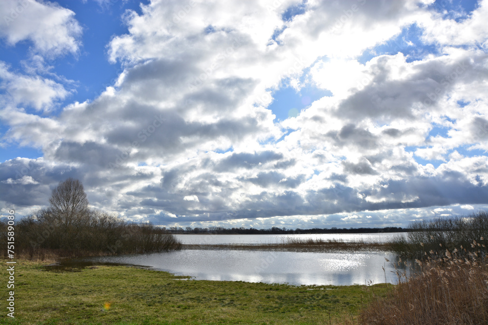Obraz premium Beetzsee mit Hochwasser in Radewege im Havelland