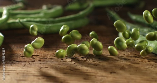 Super slow motion close up of fresh raw organic vegetable garden unshelled fava broad beans are falling for quality control on rustic wooden table in rural agriculture farmland at 1000 fps. photo