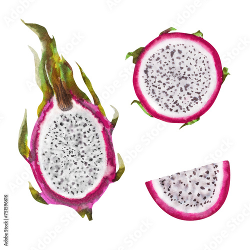 Watercolor illustration of red dragon fruit, half pitahaya with slices. Botanical composition for vegetarian exotic products, prints, stickers.