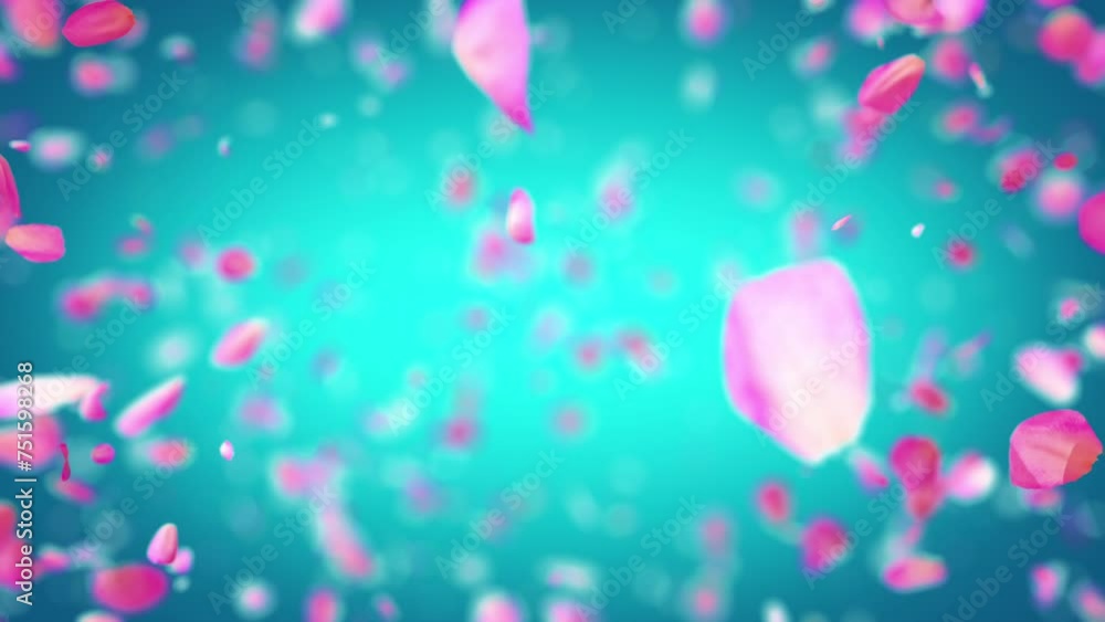 Exploding rose petals