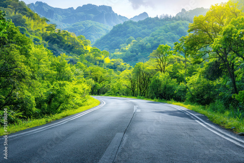 Asphalt road and green forest with mountain nature landscape.