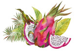 Watercolor illustration of a red dragon fruit, half of a pitahaya with slices and green tropical leaves. Botanical composition for vegetarian exotic products, prints, stickers.