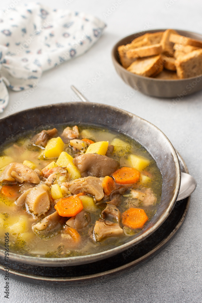 Oyster mushroom soup in plates, soup made from Pleurotus mushrooms and potatoes, carrots and spices Oyster mushroom soup in plates, soup made from Pleurotus mushrooms and potatoes, carrots and spices