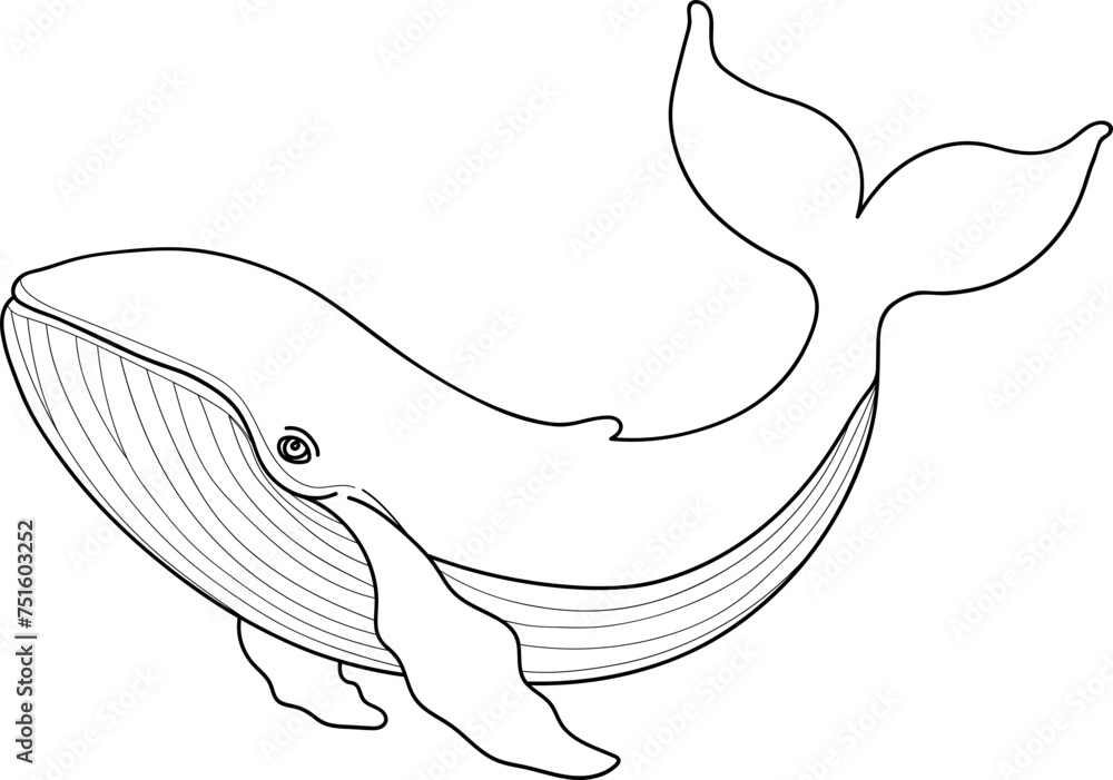 Obraz premium Whale Outline
