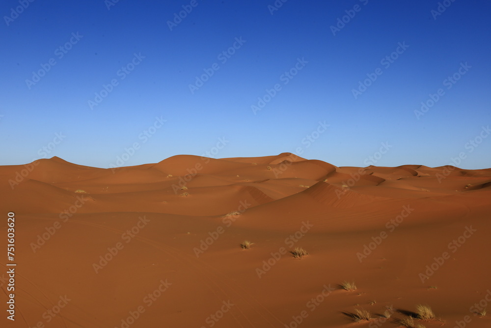 Fototapeta premium Erg Chebbi is one of Morocco's several ergs which is a large seas of dunes formed by wind-blown sand.