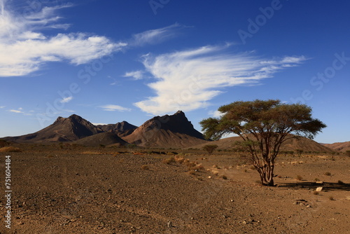 View on a mountain in the Haut Atlas Oriental National Park located in Morocco.