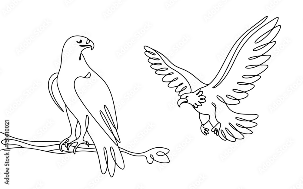 Obraz premium Two eagles. Flight. Predatory bird