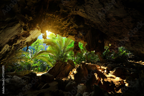 Quadro em tela "Hup pa tat" a large limestone cave with its ancient forest such as walking into dinosaur era