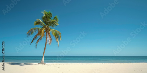 Tropical Palm Tree on Pristine White Sand Beach