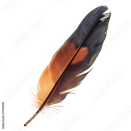 Thunderbird Feather, transparent background, isolated image, generative AI
