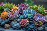 Beautifully arranged succulent garden with a variety of colorful plants nestled among smooth river stones.