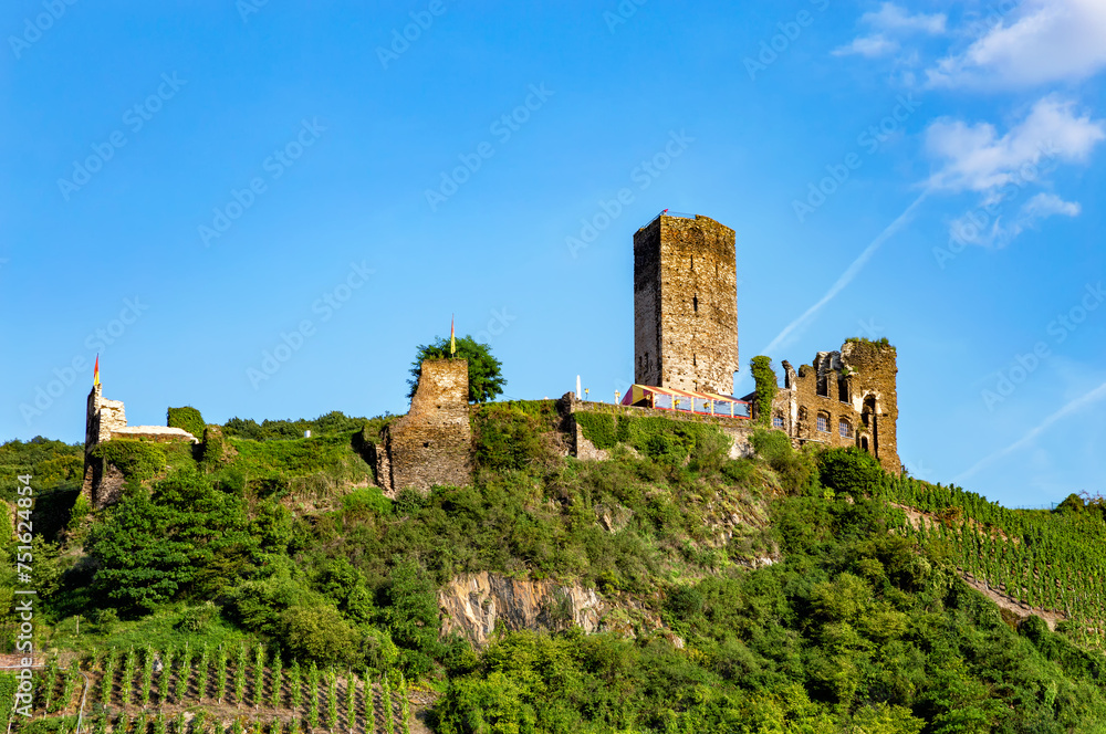 Obraz premium Metternich Castle, Beilstein, Rhineland-Palatinate, Germany, Europe.