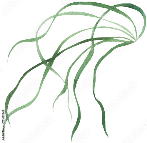Watercolor thin tiny green grass leaves isolated illustration, botanical wedding element