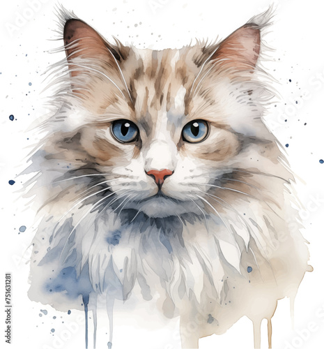 Watercolor cat clipart. Vector illustration
