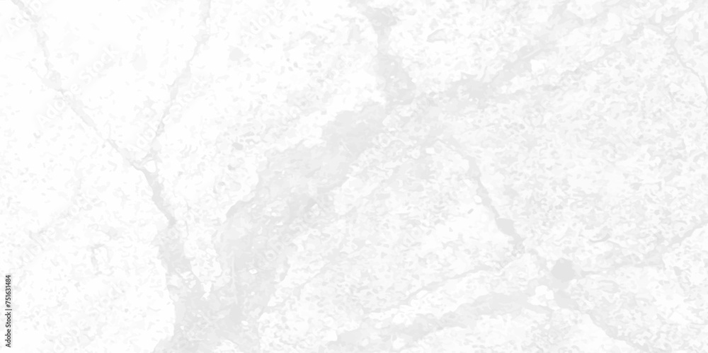 Fototapeta premium Surface cracked wall texture. cracked concrete wall covered with gray cement texture. Crack concrete white wall or Cement wall background. Cracked concrete texture background Abstract concept. 