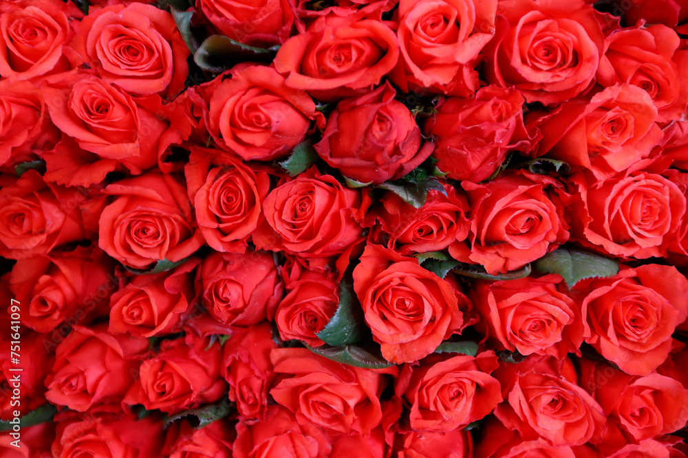 Bouquet of red roses. Valentines Day. Bouquet of red roses. Valentines Day.