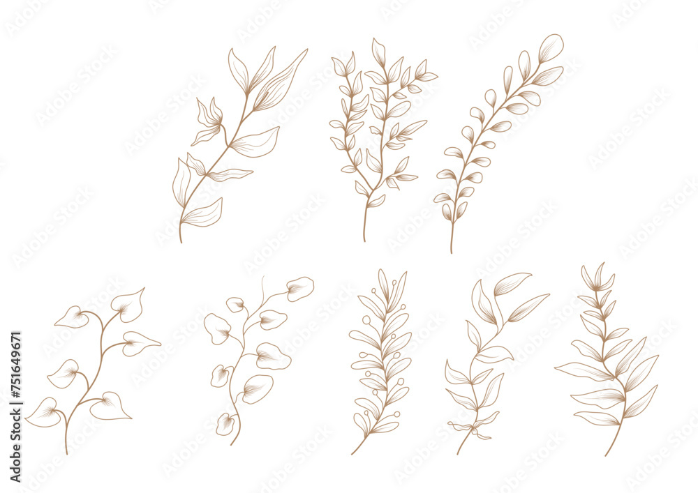 wheat ears isolated on white wheat ears isolated on white