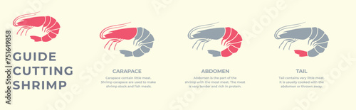 Seafood. Сrustaceans. Cutting guide meat shrimp, prawn carcass. Diagram сutting parts meat shrimp. Butcher guide seafood. Vector flat color drawing illustration. Isolated.