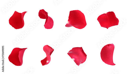 Bright red rose petals isolated on white