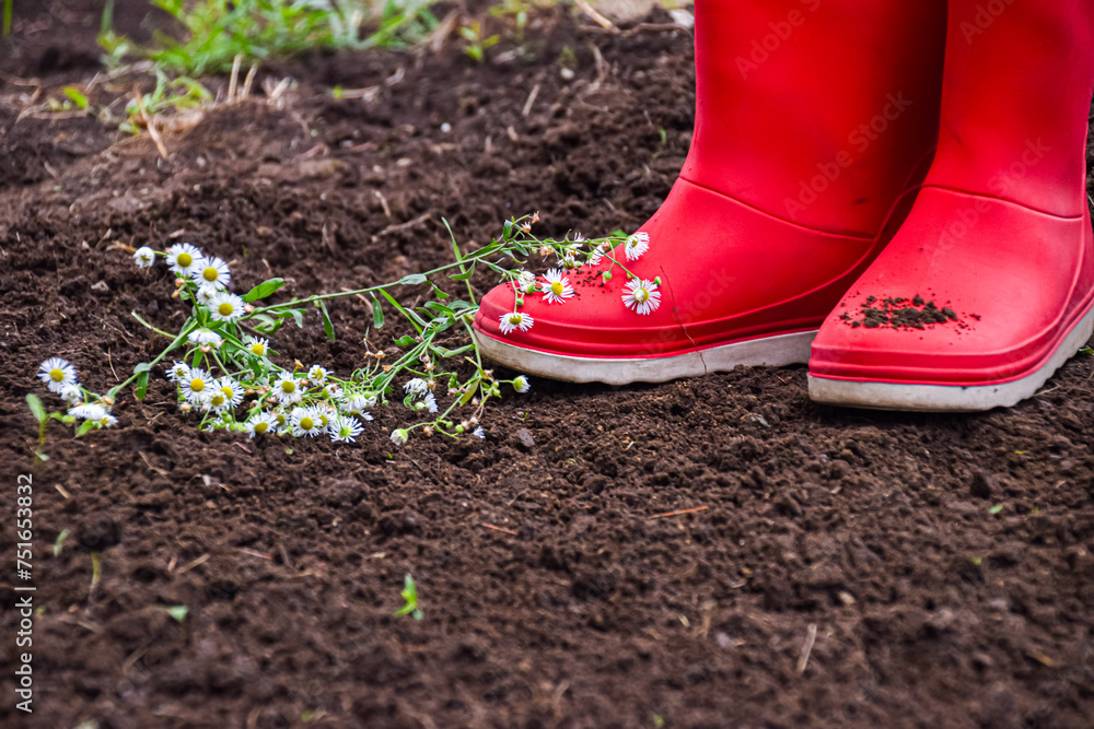 Red gumboots with wild flowers on the soil ground in the garden Red gumboots with wild flowers on the soil ground in the garden