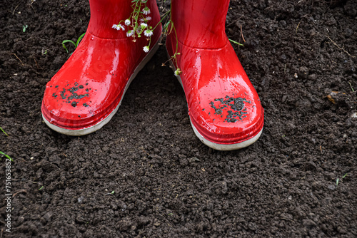 Red gumboots with wild flowers on the soil ground in the garden