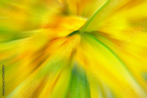 Blurred photo of green and yellow flowers, abstract colorful background or wallpaper.