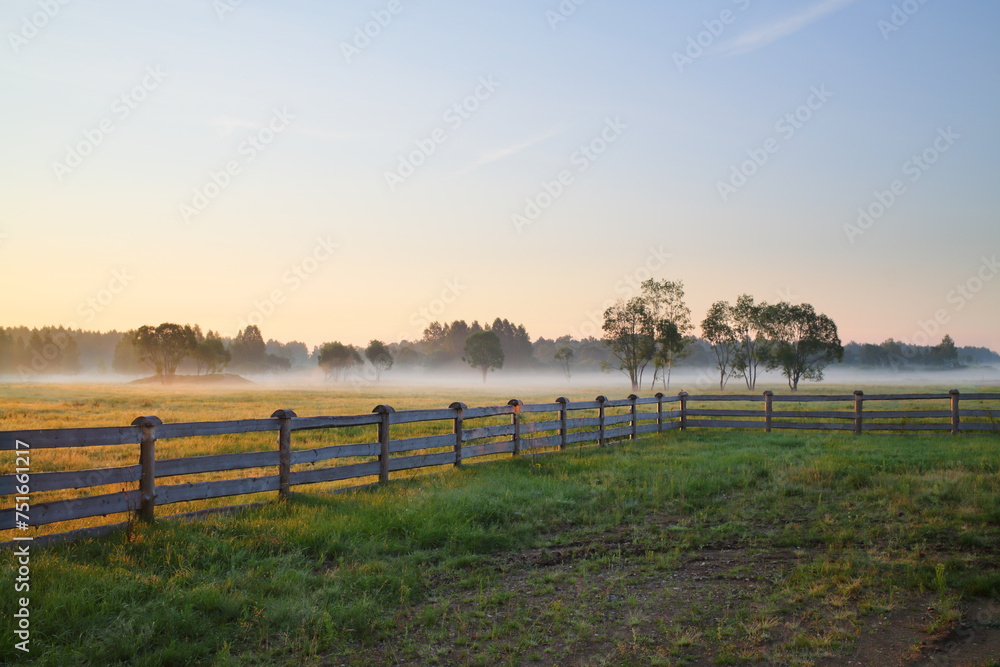 Morning fog on a field in the countryside