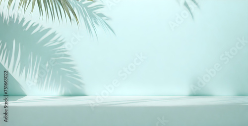 Abstract Palm Leaf Shadow on Light Blue Wall