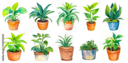 Collection Of Potted Indoor Houseplants In Various Decorated Pots. Watercolor Set Indoor Houseplants Isolated On White. Home Indoor Design
