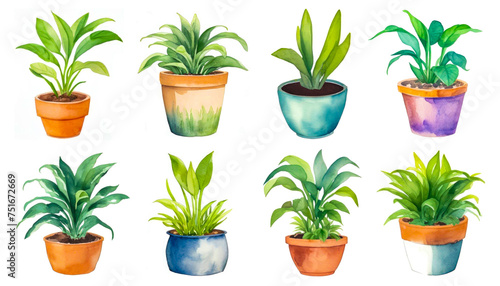Collection Of Potted Indoor Houseplants In Various Decorated Pots. Watercolor Set Indoor Houseplants Isolated On White. Home Indoor Design
