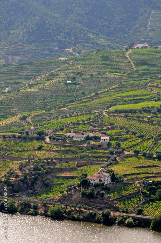 Pinhao wine region