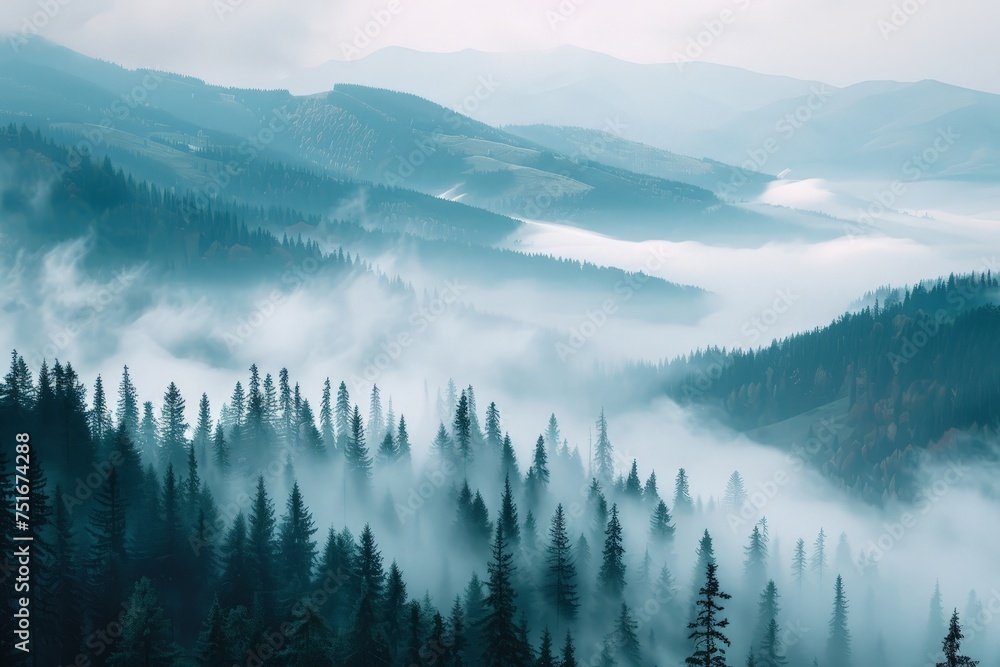 Fototapeta A dense forest shrouded in thick fog, with numerous trees towering towards the sky. The mist obscures the distance, creating a mysterious and atmospheric scene.