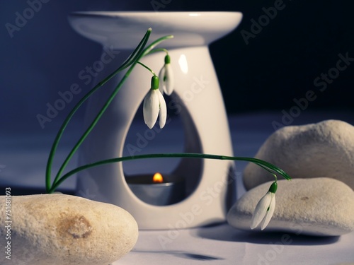 Tableau sur toile Zen aromatherapy oil burner with snowdrop flowers