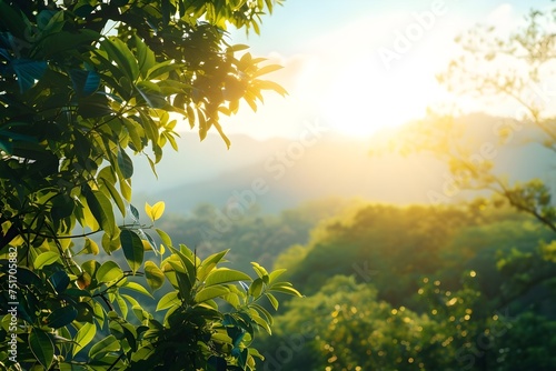 sunrise in the forest with green leaf on blurred background generative ai