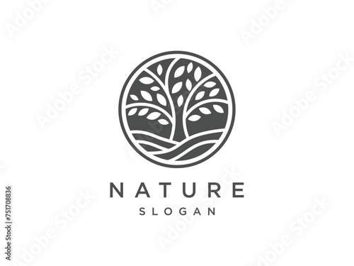 Oak Tree Logo.Natural Vector Tree Logo. Growth Design Template photo