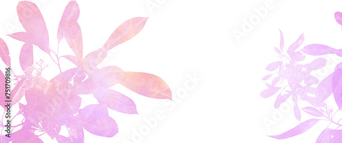 flower galaxy illustration on transparent background clipart isolated on white