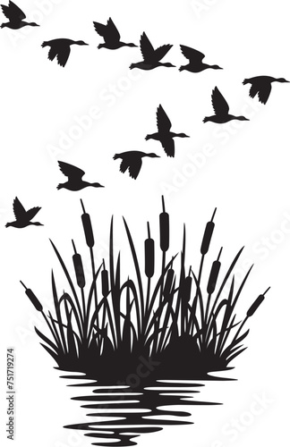 Flock of Flying Mallard Ducks and Reeds Silhouette (Bulrush).  (Migrating Birds). Vector Illustration.