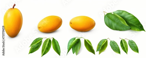 Fresh mango fruits and green leaves isolated on white, set © Svitlana