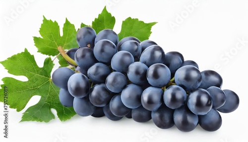 dark blue grape with leaves isolated on white background with clipping path full depth of field