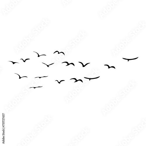A Flock of Bird Silhouette © G