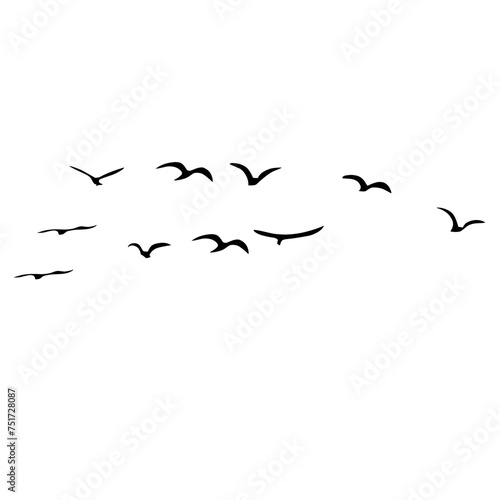 A Flock of Bird Silhouette