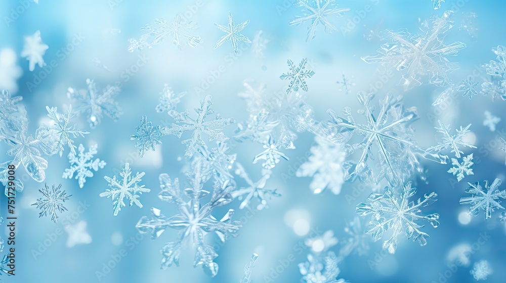 frozen winter blue background frozen winter blue background