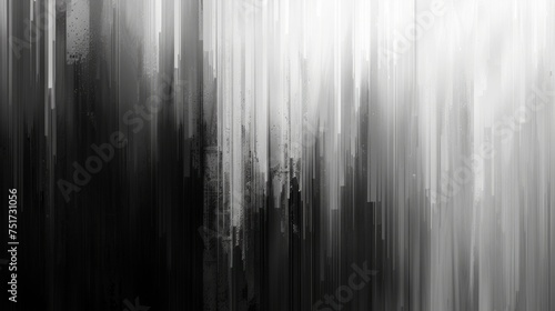 Dense Forest Canopy in Black and White