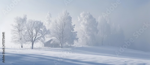 Tranquil winter scene of snow covered field with trees and fence under blue sky © TheWaterMeloonProjec