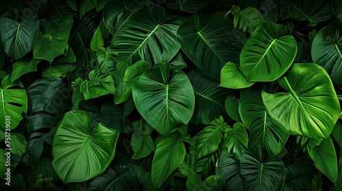tropical exotic leaves background © vectorwin